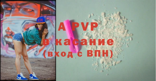 амф Верея