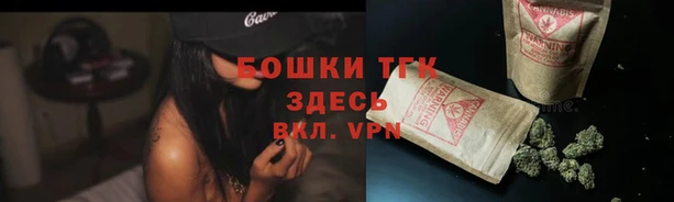 амф Верея