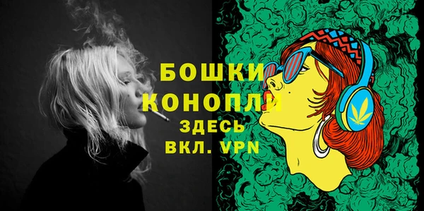 стафф Верхний Тагил