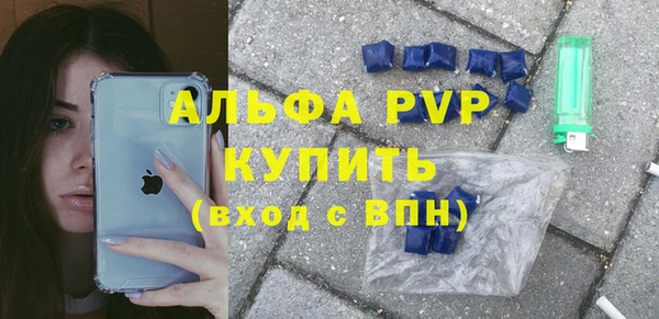 амф Верея