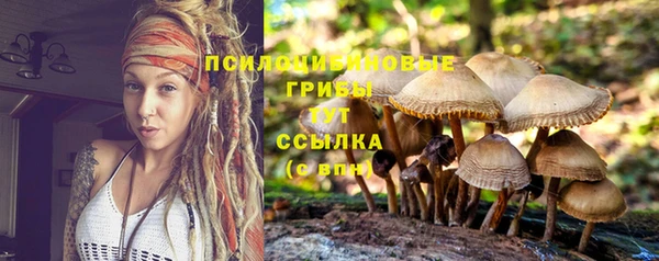 стафф Верхний Тагил