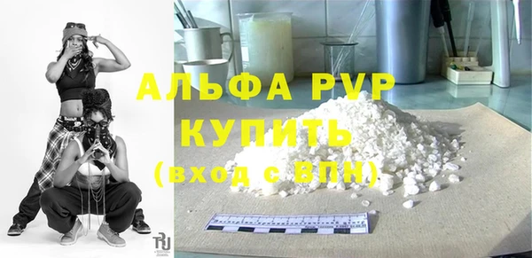амф Верея