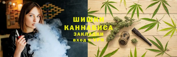 стафф Верхний Тагил