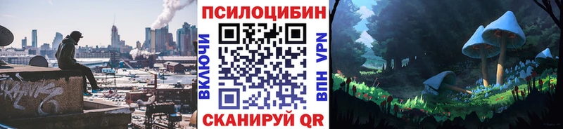 Псилоцибиновые грибы Psilocybe  ссылка на мегу tor  Юрюзань  как найти закладки 